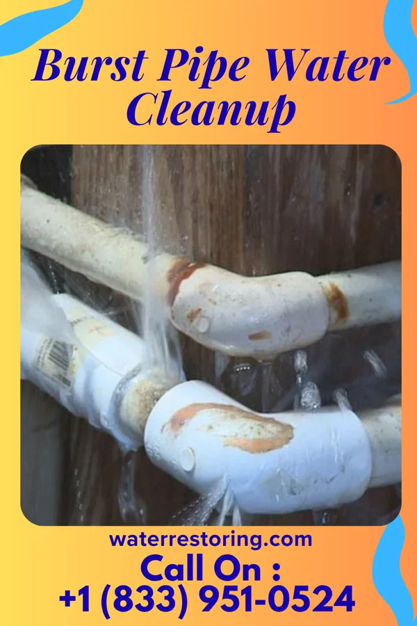 Burst Pipe Water Cleanup in Hightsville, NC
