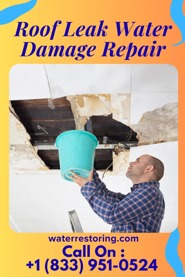 Roof Leak Water Damage Repair in Hightsville, NC