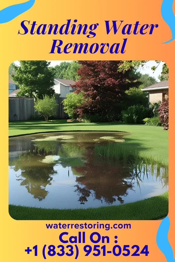 Standing Water Removal in Hightsville, NC